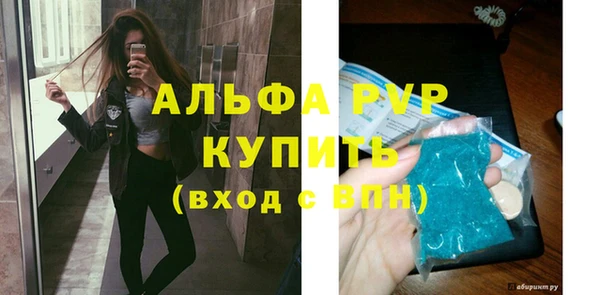 индика Баксан