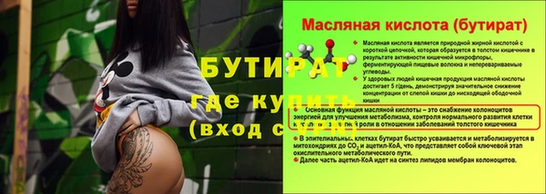 индика Баксан