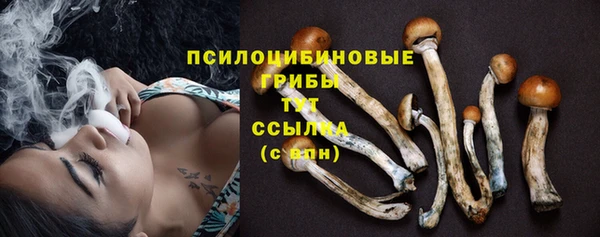 синтетический гашиш Балахна