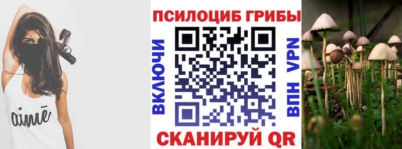 Галлюциногенные грибы Magic Shrooms  магазин продажи   Горбатов 